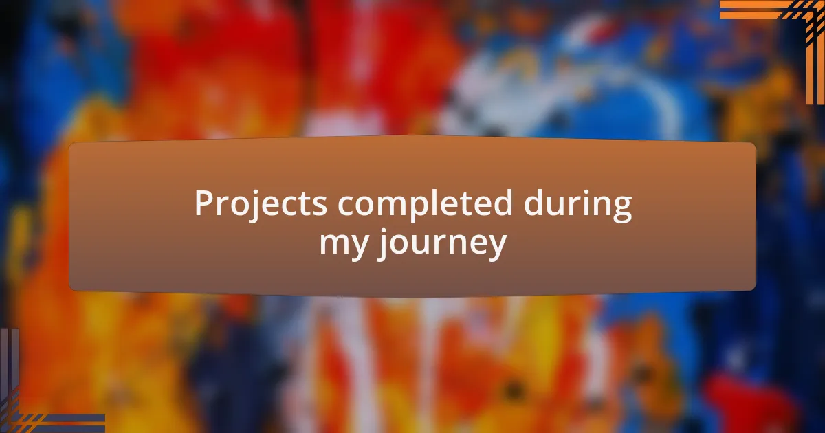 Projects completed during my journey
