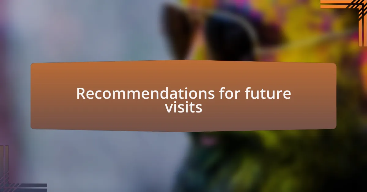Recommendations for future visits
